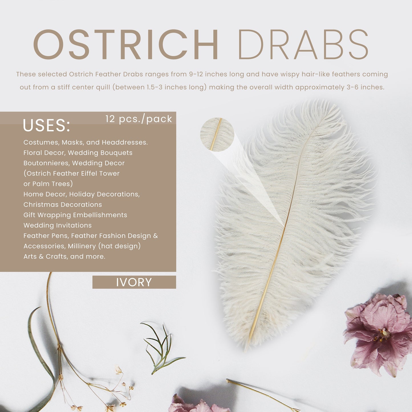 Ostrich Feathers 9-12" Drabs - Ivory