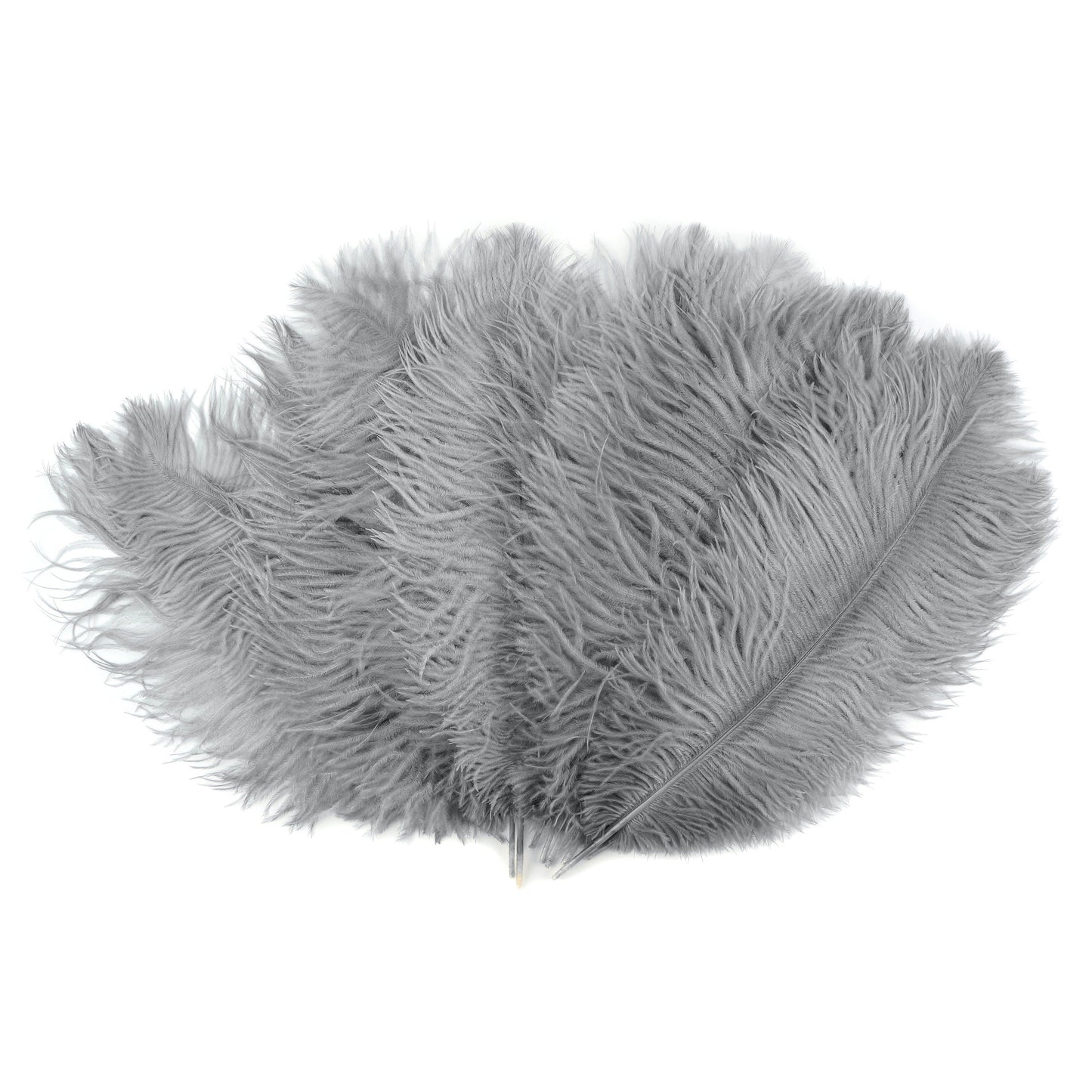 Ostrich Feathers 13-16" Drabs - Silver