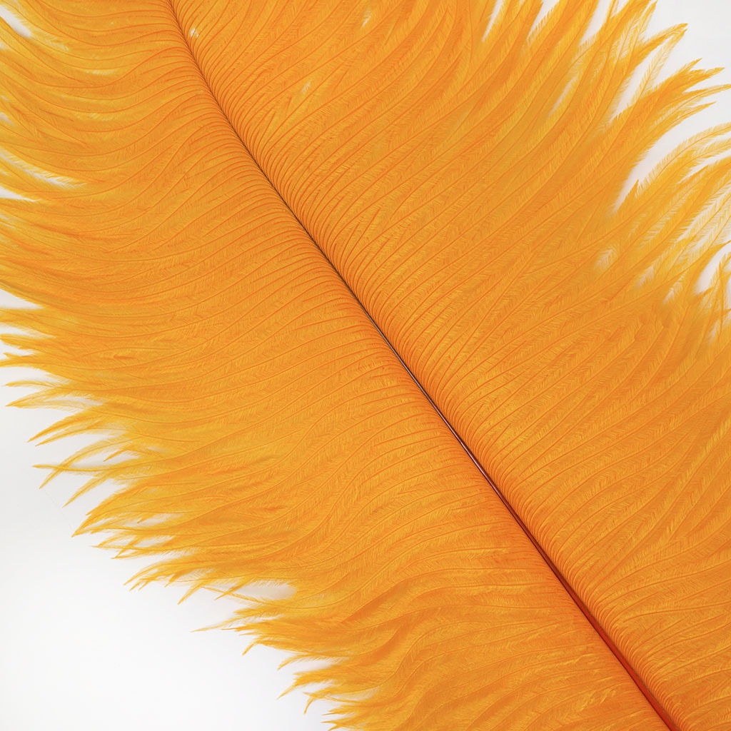 Ostrich Feathers 13-16" Drabs - Mango