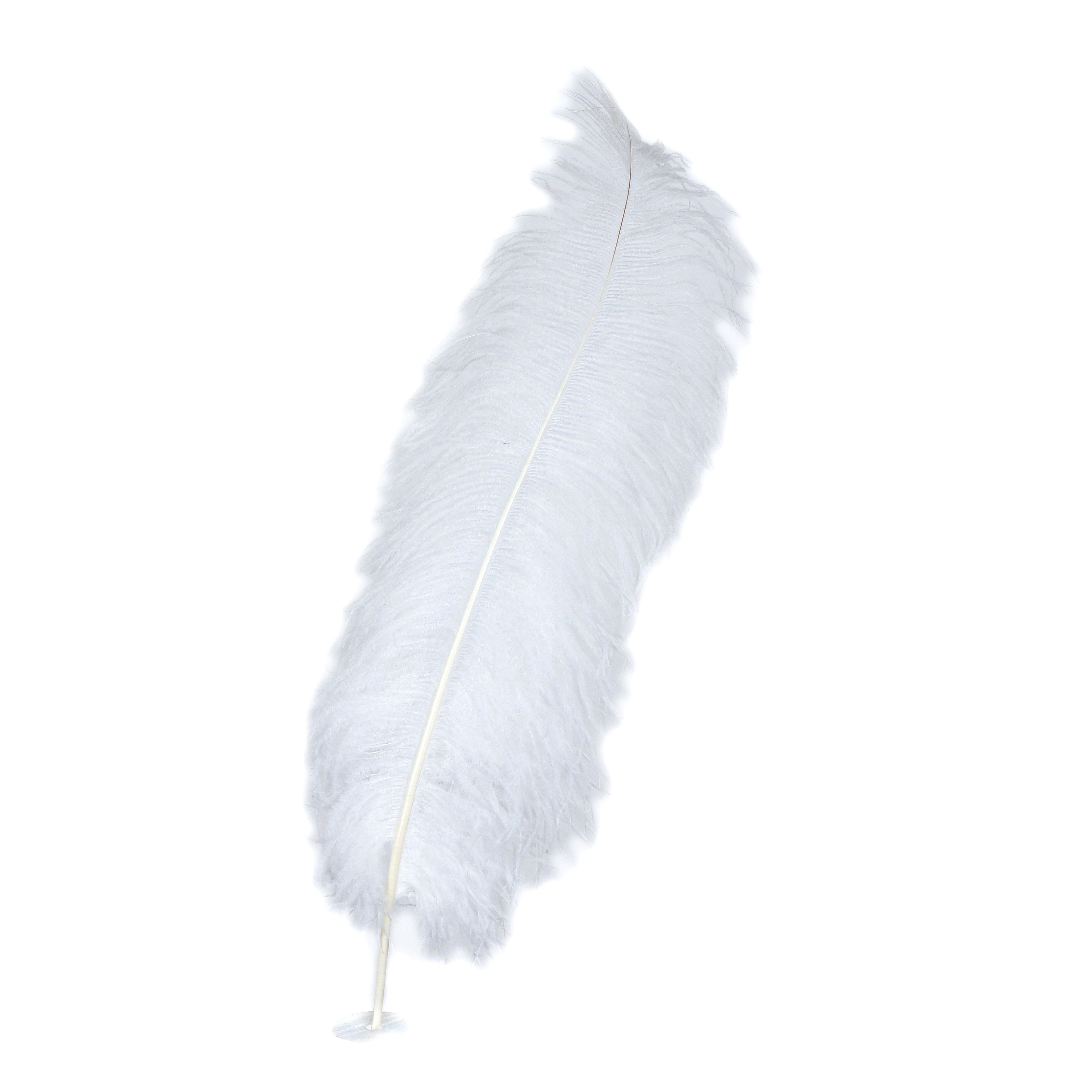 iHUFeather 10pcs White Ostrich Feathers Natural Bulk 14-16Inch 40
