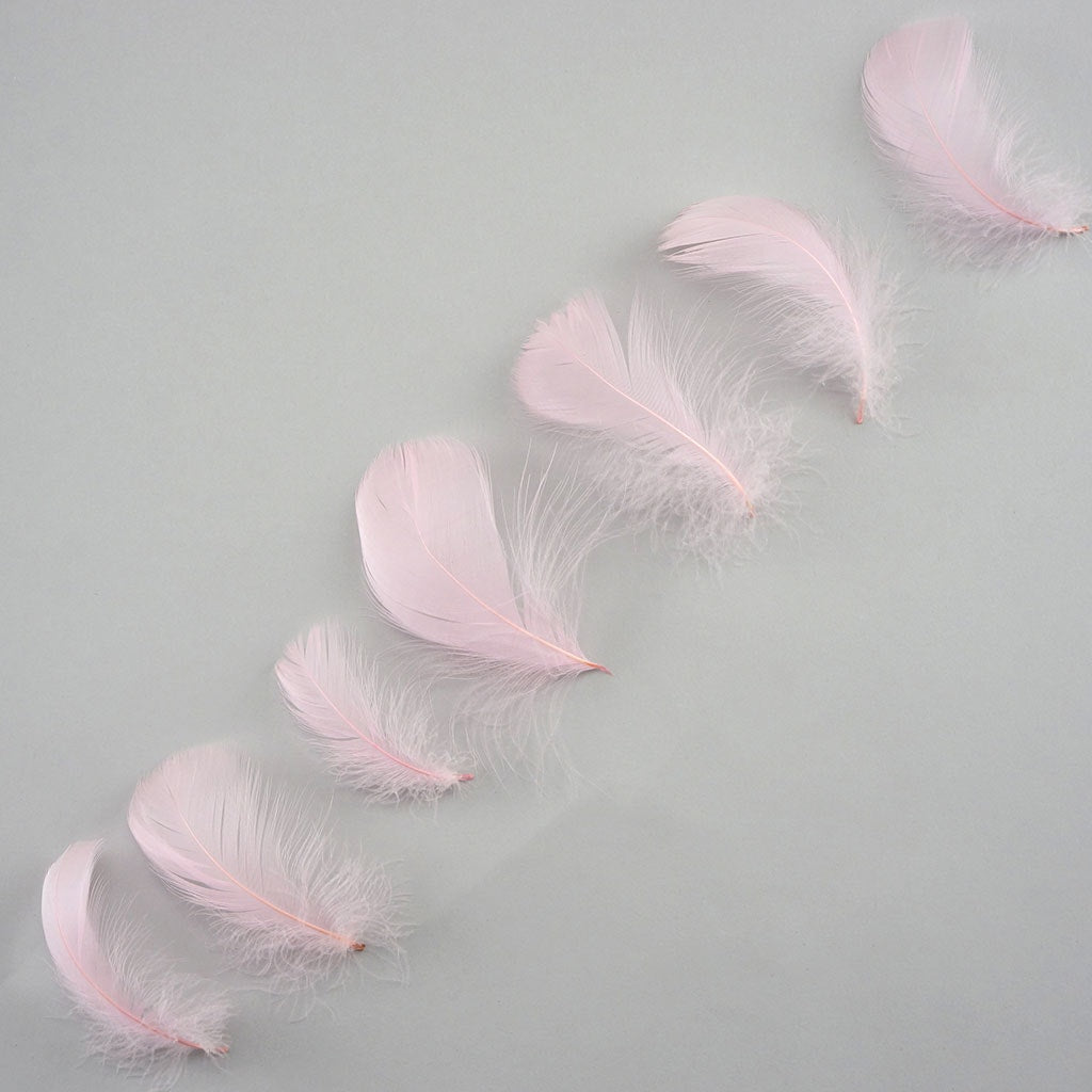 Bulk Goose Coquille Feathers Dyed - Candy Pink - 1/4 lb