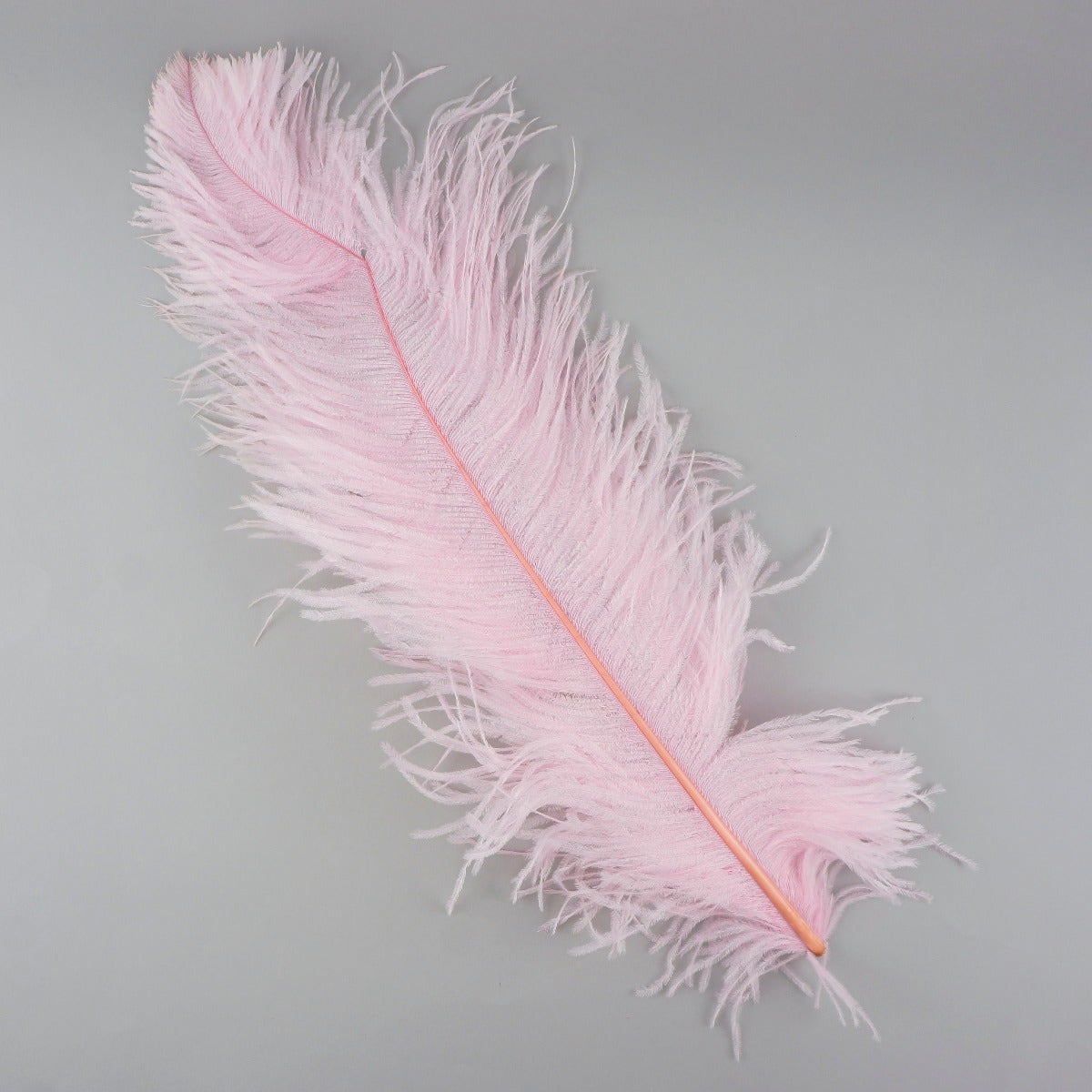Ostrich Feathers-Damaged Femina - Candy Pink