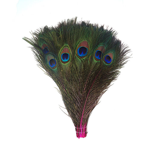 Bulk Peacock Eye Feathers (Full Eye) Stem Dyed  100 pc - 8-15" -  Shocking Pink