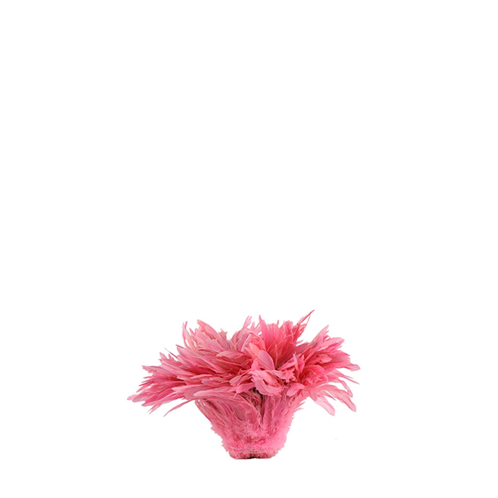 Rooster Coque Tails White-Dyed - Pink Orient