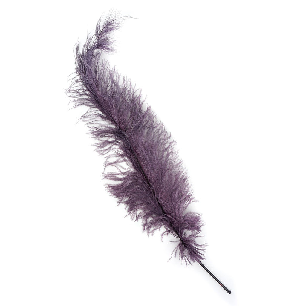 Ostrich Feathers-Spads Damaged - Amethyst