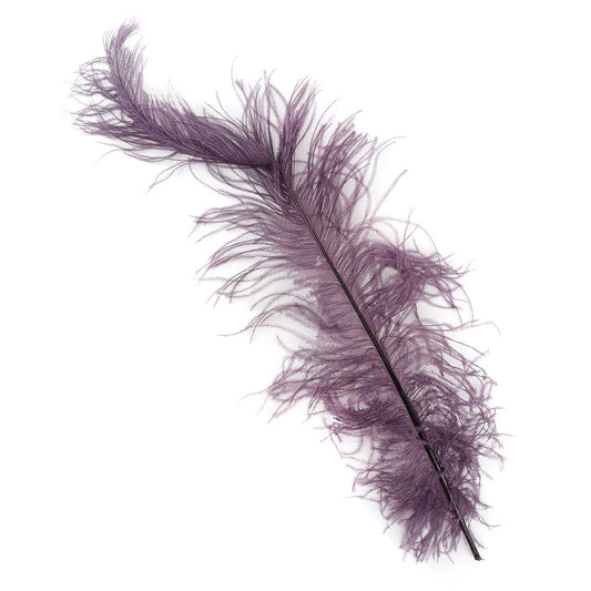 Ostrich Feathers-Spads Damaged - Amethyst