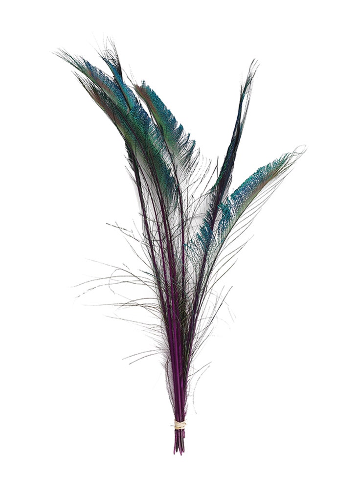 Purple Feathers, Arts & Crafts