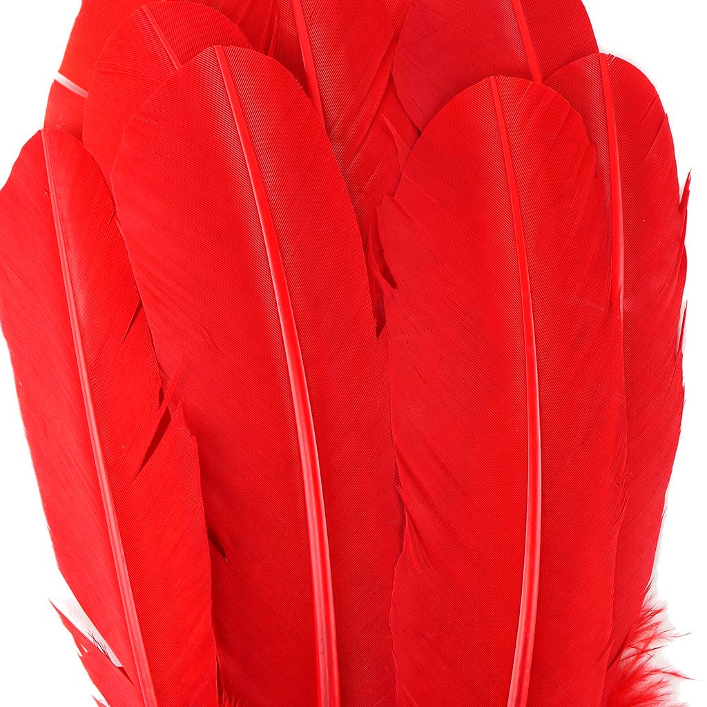 Zucker B712-R Turkey Quill Feathers, Red - 4 pack