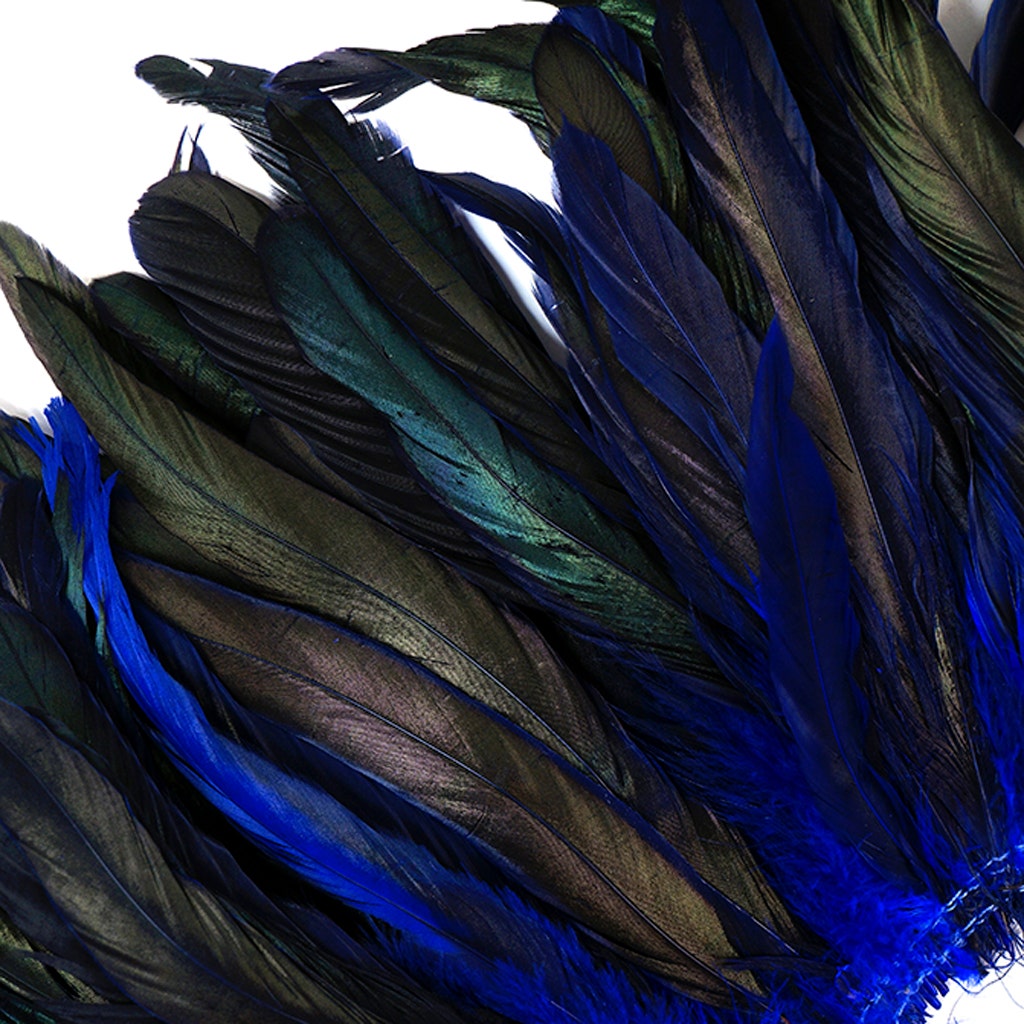 Rooster Coque Tails-Dyed - Royal