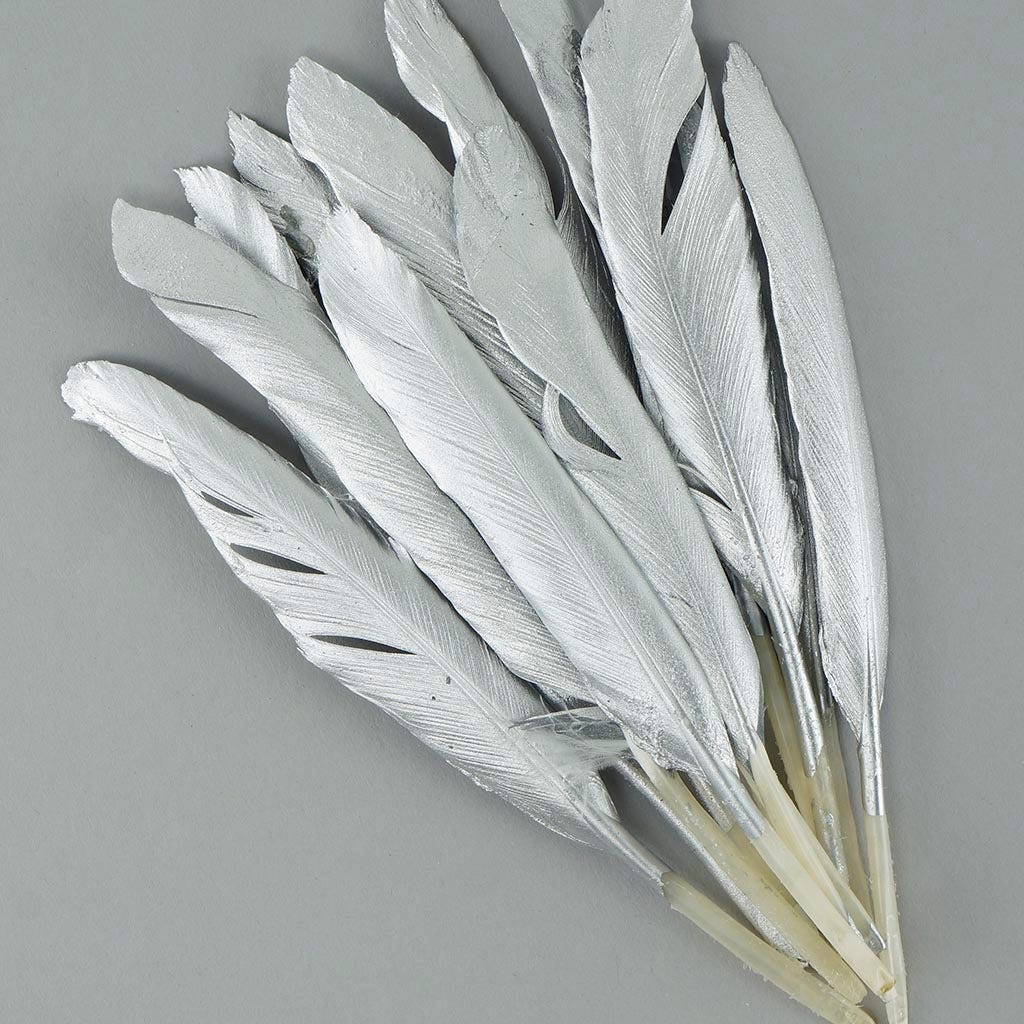 Gilded Duck Cosse Feathers-SLV