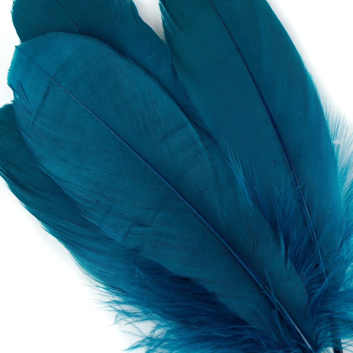 Goose Pallet Feathers 6-8" - 12 pc - Peacock Blue