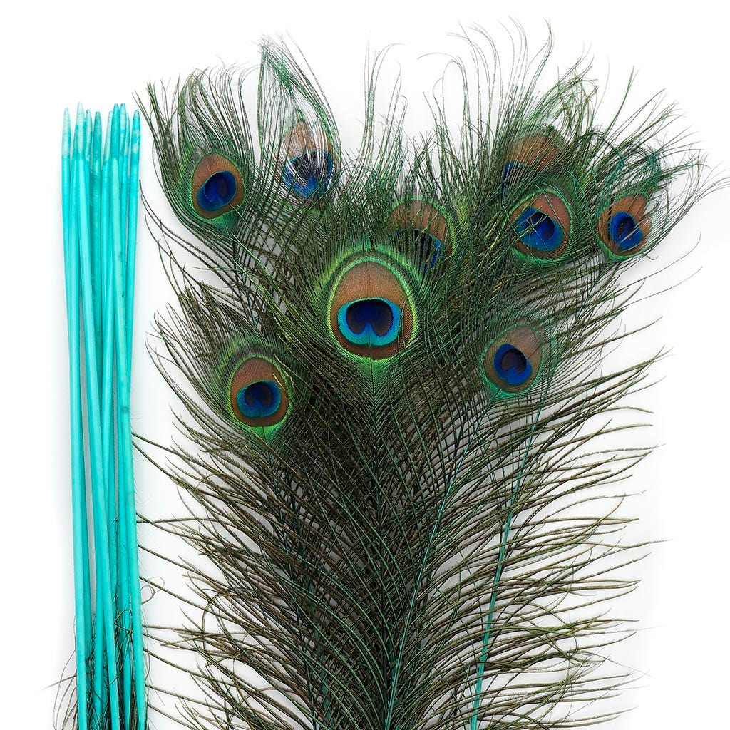 Peacock Feather Eyes Stem Dyed - 25-40 Inch - 10 PCS Light Turquoise