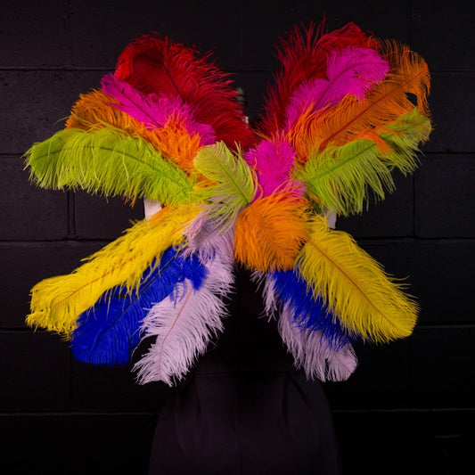 Large Upcycled Ostrich Feather Costume Wings - Rainbow
