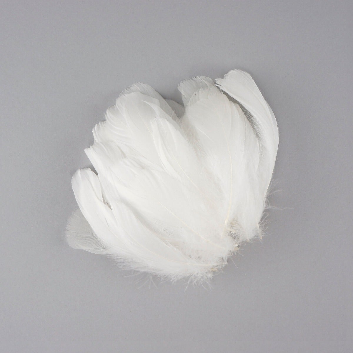 Goose Feather Trim White Goose Nagoire and Satinettes Feather Trim 1 Y –