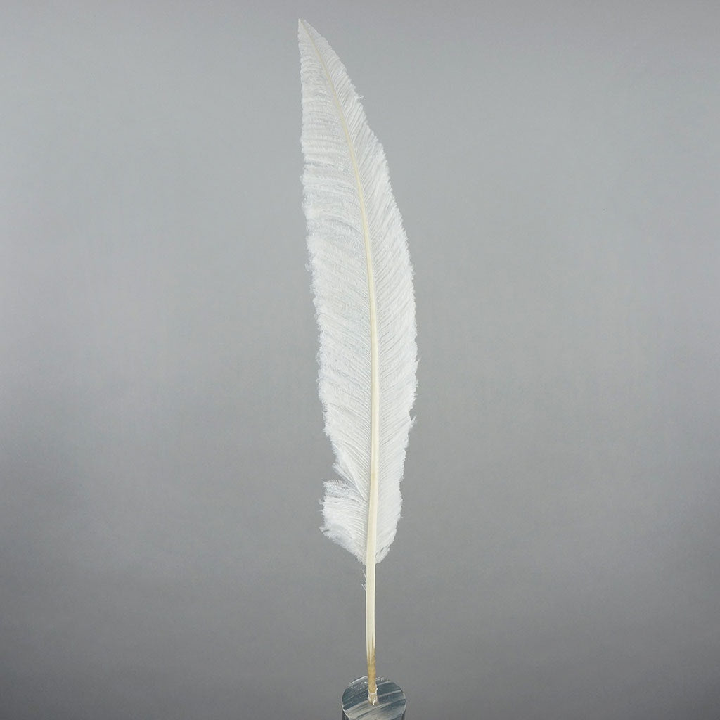 White Feathers –  by Zucker Feather Products, Inc.