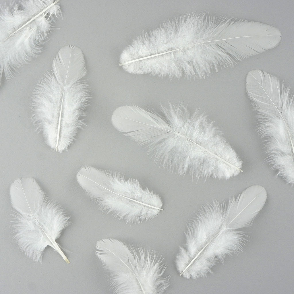 Rooster Plumage-White-Dyed - White