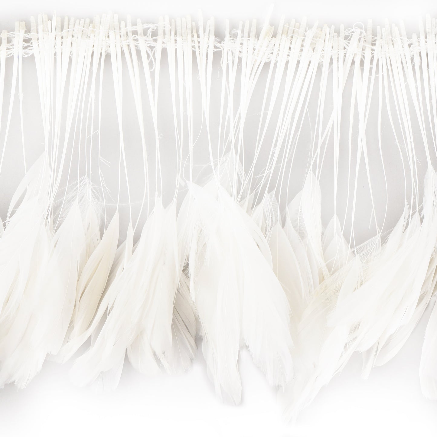Stripped Rooster Coque Tails Feathers Bleach White 4-6” Strung [1 yard]