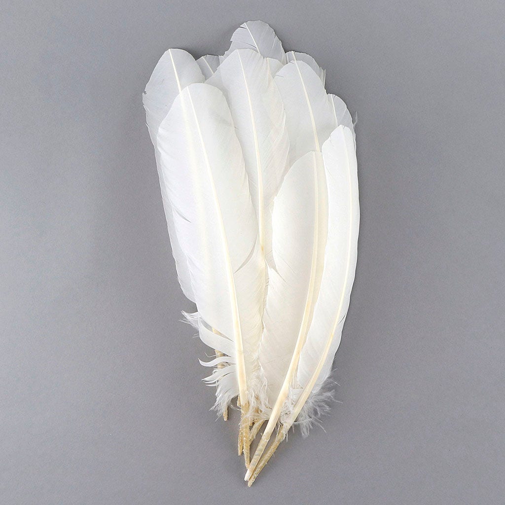 white quills 20g 10 - 15cm long, sFr. 11,50