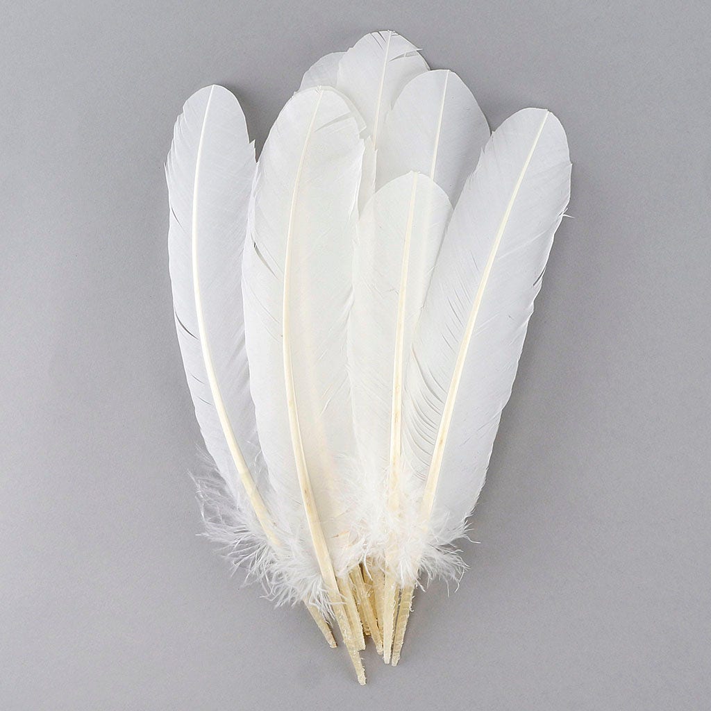 6 Pieces - White Turkey Pointers Primary Wing Quill Large Feathers