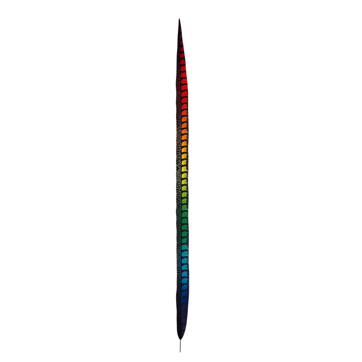 Rainbow Faux Lady Amherst Feathers 1 pc