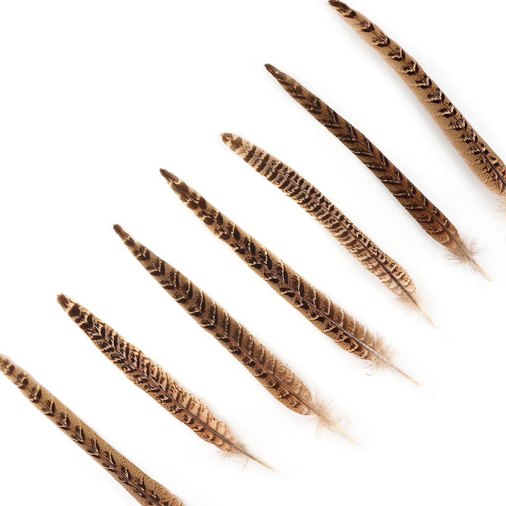 10 PC/PKG Female Ringneck Pheasant Tails 10-12’’ - Natural - Feathers