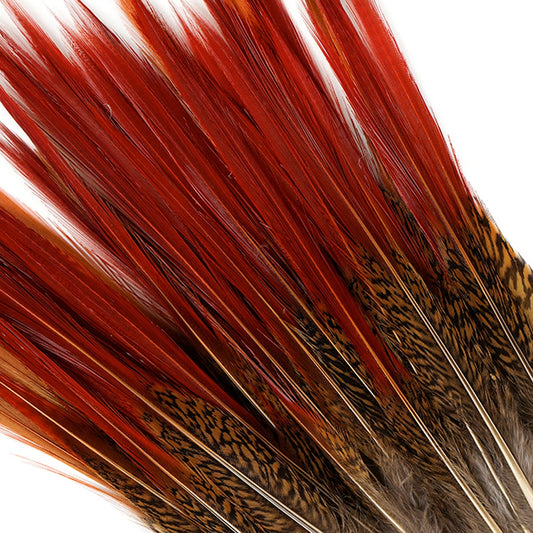 10 PC/PKG Golden Pheasant Red Top Tail Feathers 8-10’’ - Natural - Feathers