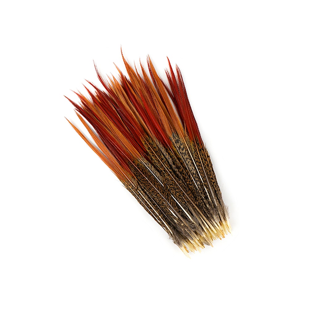 10 PC/PKG Golden Pheasant Red Top Tails 10-12’’- Natural - Feathers