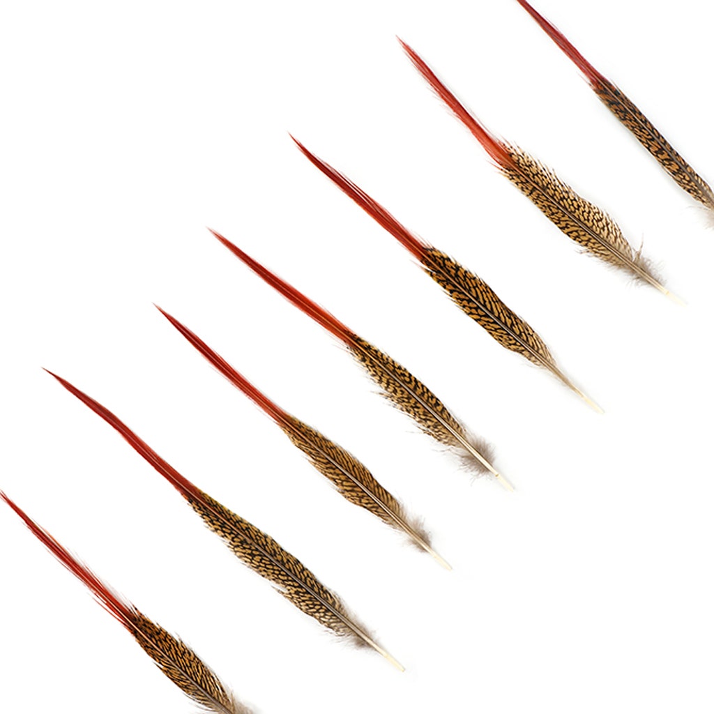 10 PC/PKG Golden Pheasant Red Top Tails 10-12’’- Natural - Feathers