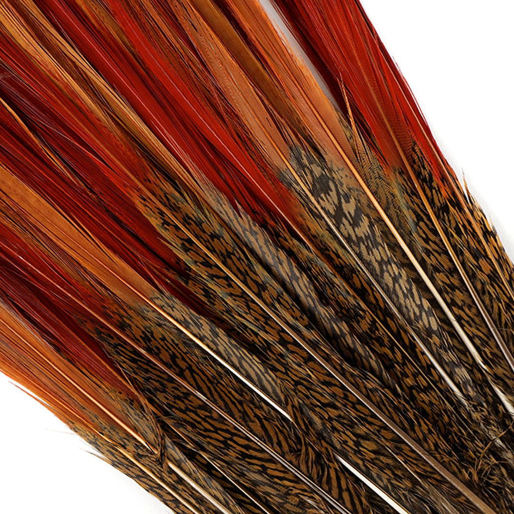 10 PC/PKG Golden Pheasant Red Top Tails 10-12’’- Natural - Feathers