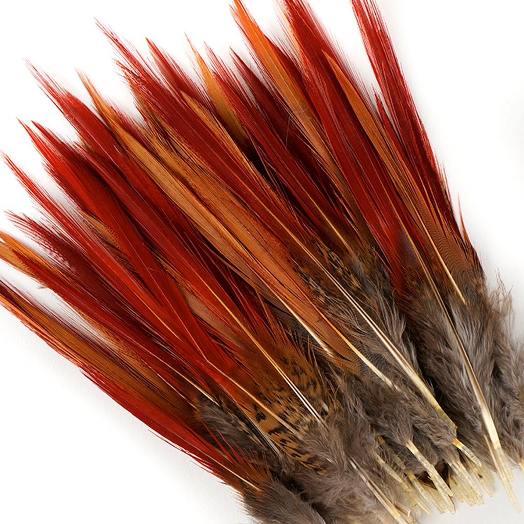 10 PC/PKG Golden Pheasant Red Top Tails 4-6’’ - Natural - Feathers