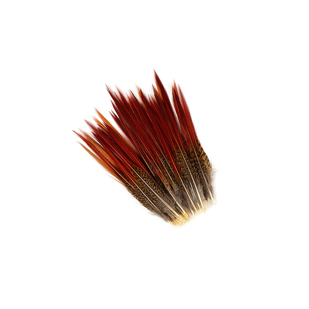 10 PC/PKG Golden Pheasant Red Top Tails 6-8’’ - Natural - Feathers