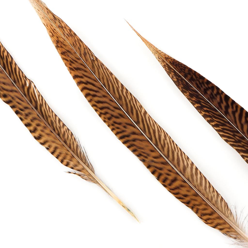 10 PC/PKG Golden Pheasant Tails 10-12’’ - Natural - Feathers