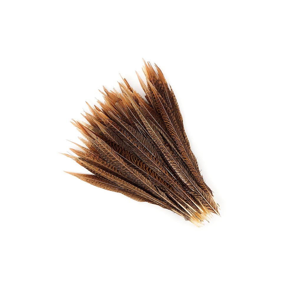 10 PC/PKG Golden Pheasant Tails 10-12’’ - Natural - Feathers