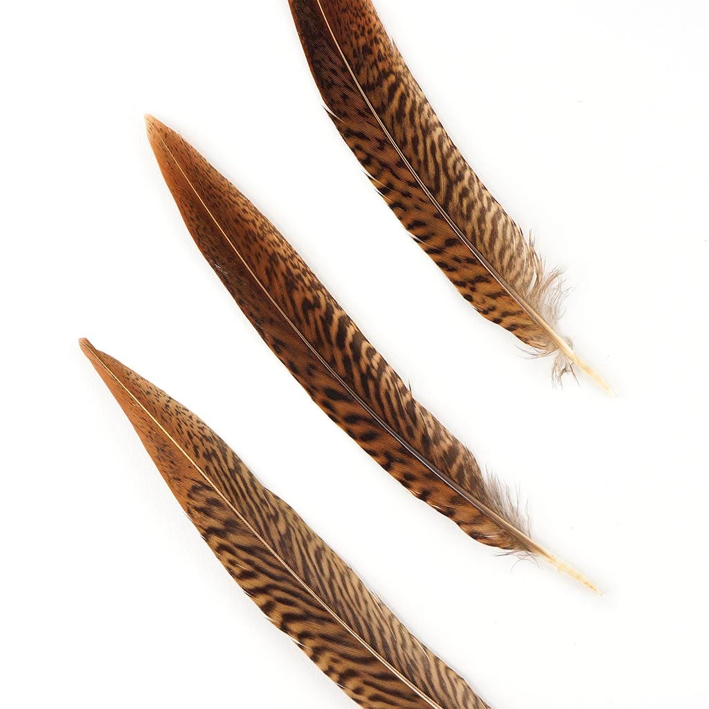 10 PC/PKG Golden Pheasant Tails 10-12’’ - Natural - Feathers