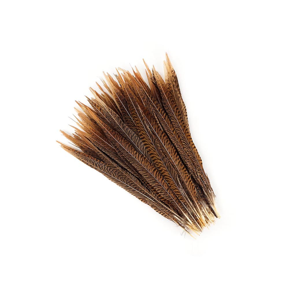 10 PC/PKG Golden Pheasant Tails 12-14’’- Natural - Feathers