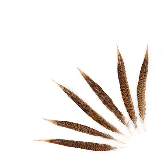 10 PC/PKG Golden Pheasant Tails 12-14’’- Natural - Feathers