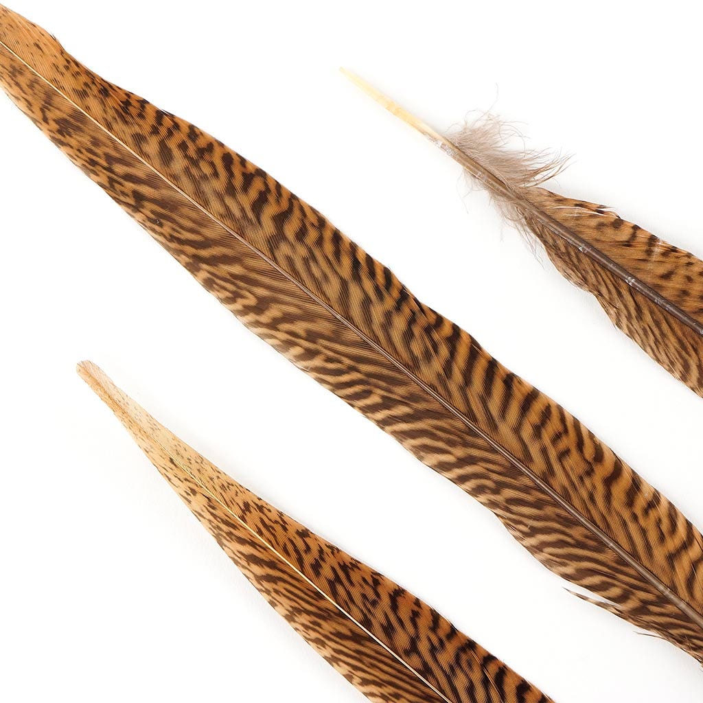 10 PC/PKG Golden Pheasant Tails 14-16’’ - Natural - Feathers