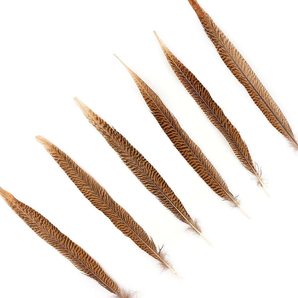 10 PC/PKG Golden Pheasant Tails 14-16’’ - Natural - Feathers