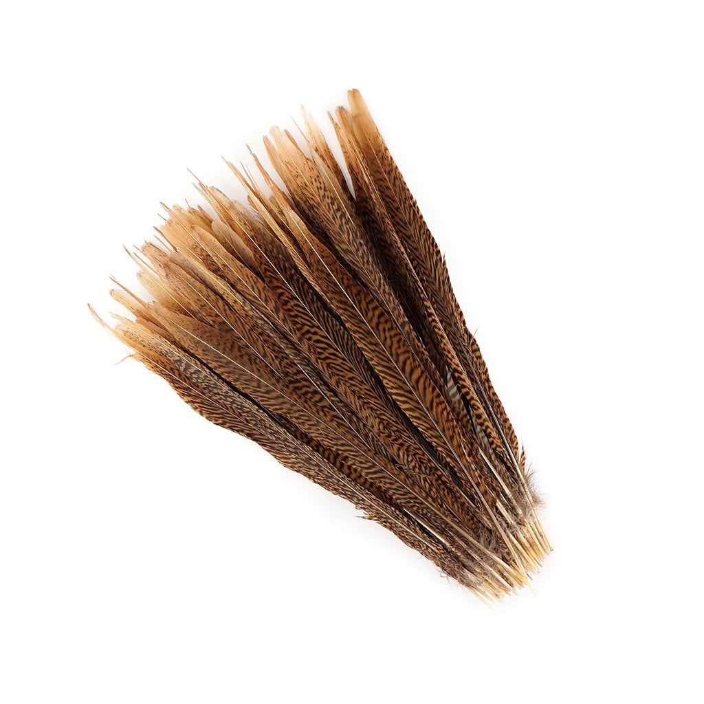 10 PC/PKG Golden Pheasant Tails 14-16’’ - Natural - Feathers