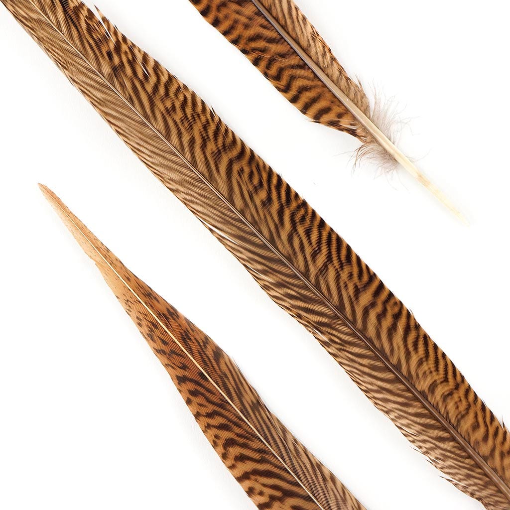 10 PC/PKG Golden Pheasant Tails 16-18’’ - Natural - Feathers