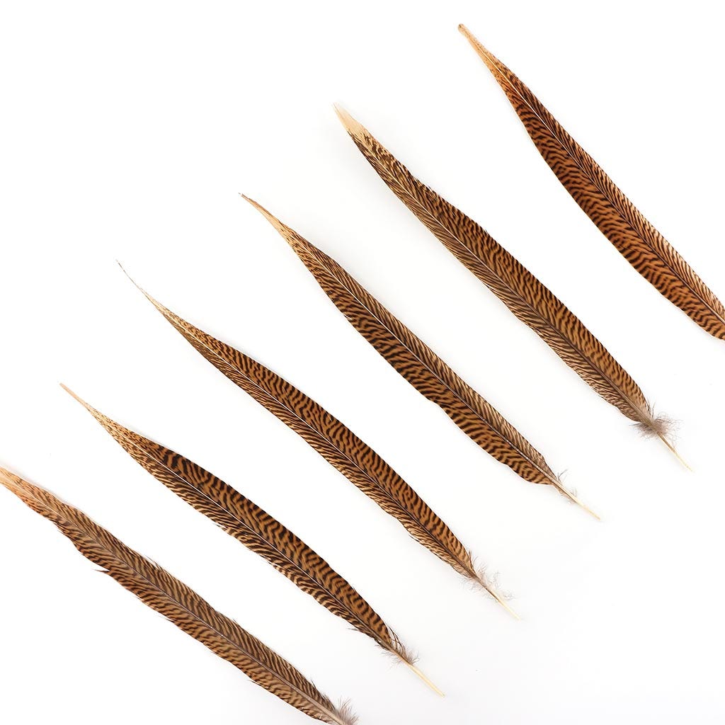 10 PC/PKG Golden Pheasant Tails 16-18’’ - Natural - Feathers