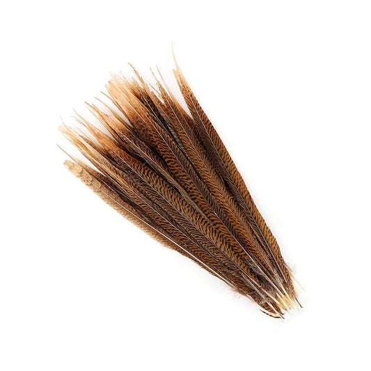 10 PC/PKG Golden Pheasant Tails 16-18’’ - Natural - Feathers