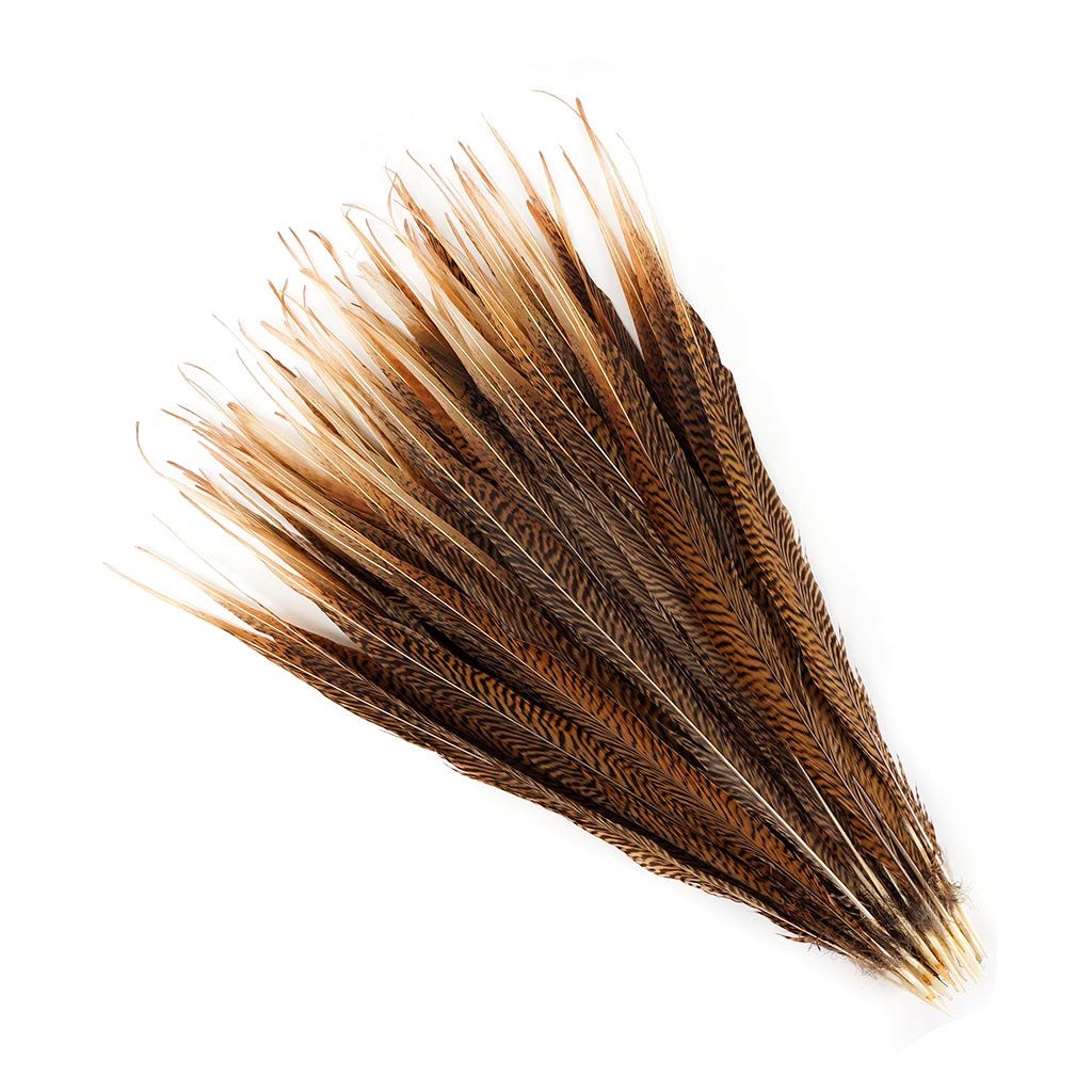 10 PC/PKG Golden Pheasant Tails 18-20’’ - Natural - Feathers