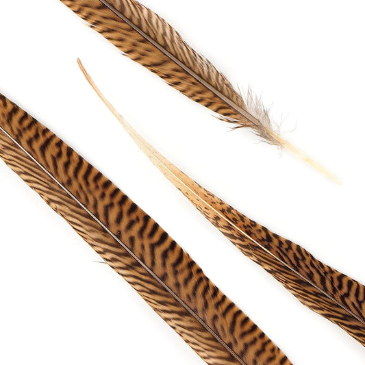 10 PC/PKG Golden Pheasant Tails 18-20’’ - Natural - Feathers