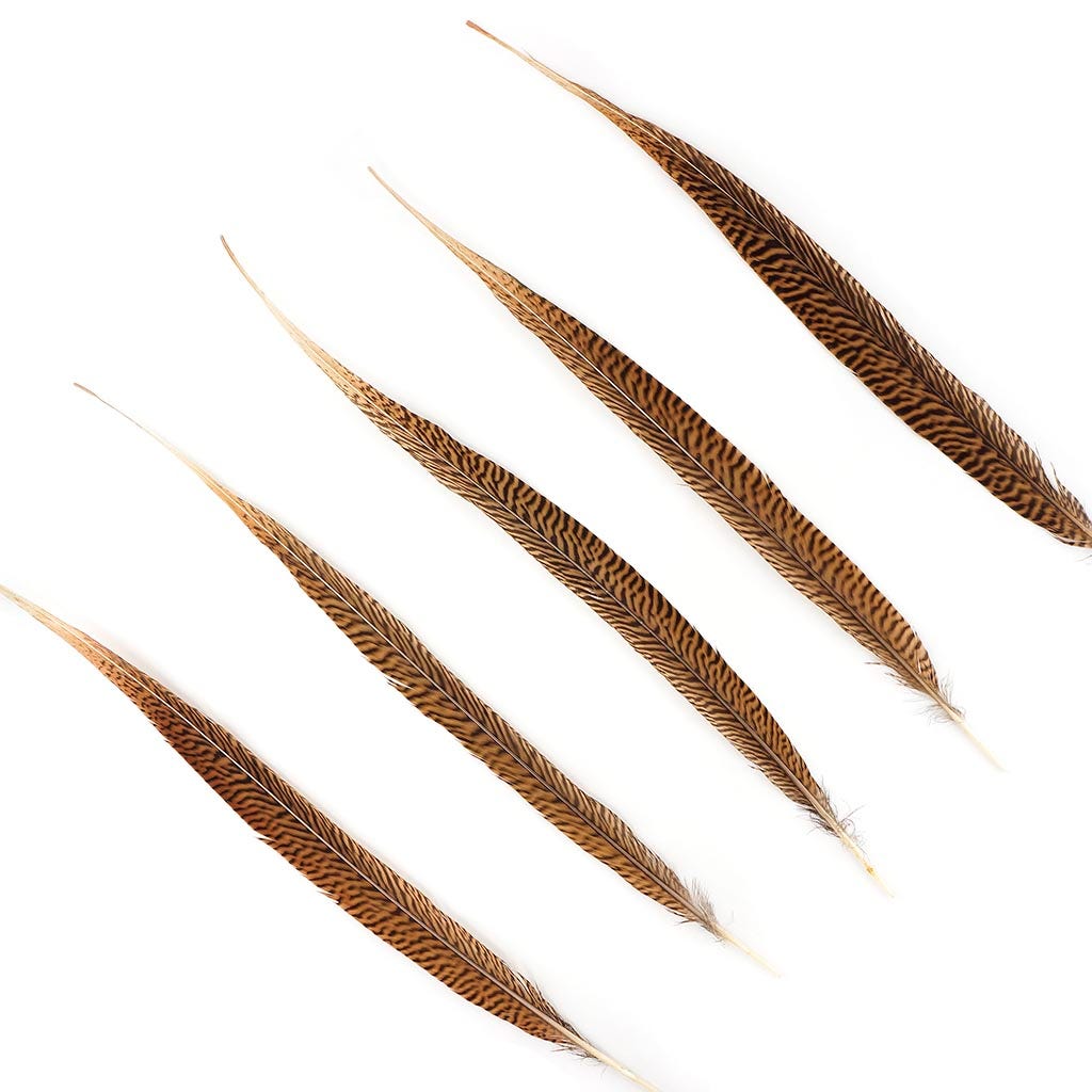 10 PC/PKG Golden Pheasant Tails 18-20’’ - Natural - Feathers