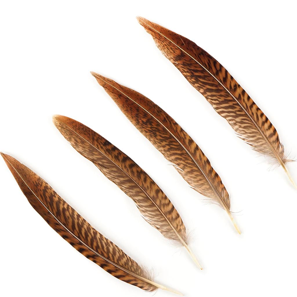 10 PC/PKG Golden Pheasant Tails 4-6’’ - Natural - Feathers