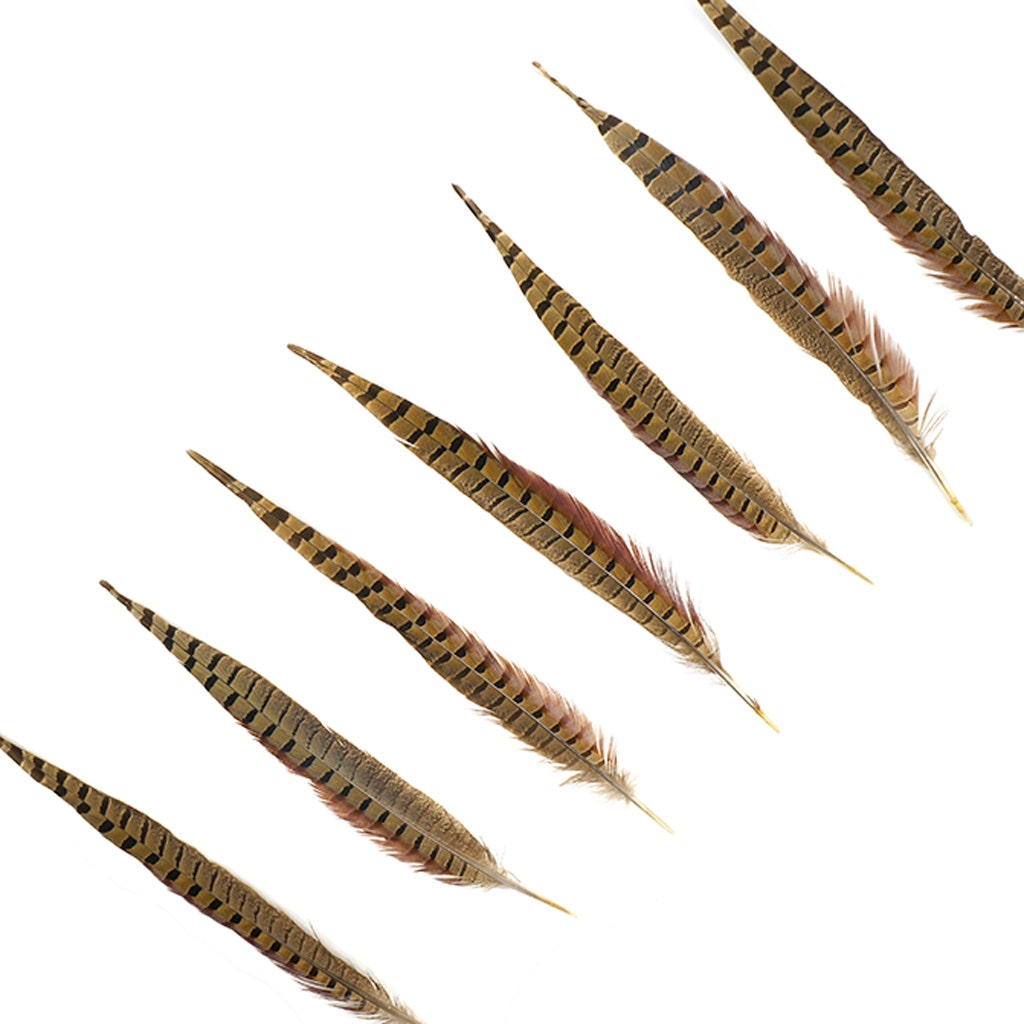 10 PC/PKG RINGNECK PHEASANT TAILS 12-14’’ - NATURAL - Feathers