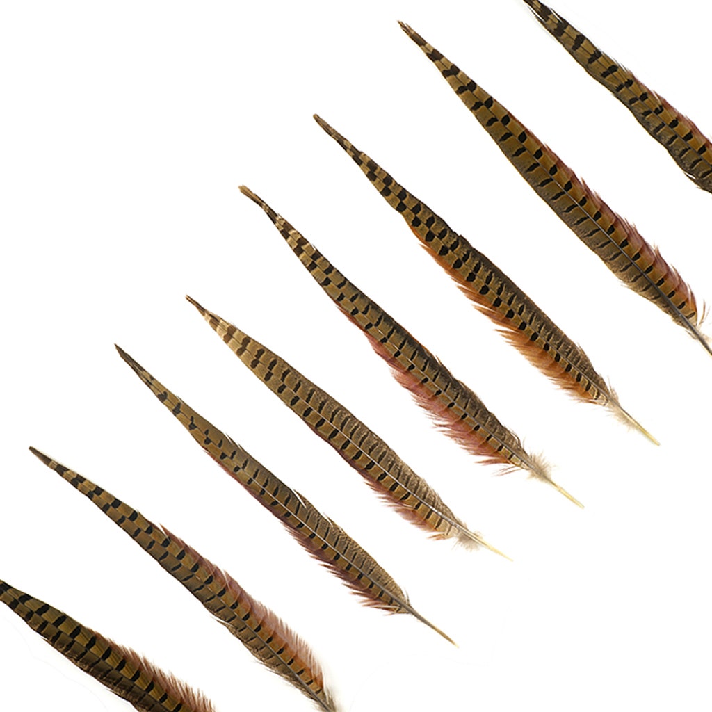 10 PC/PKG RINGNECK PHEASANT TAILS 14-16’’ - NATURAL - Feathers