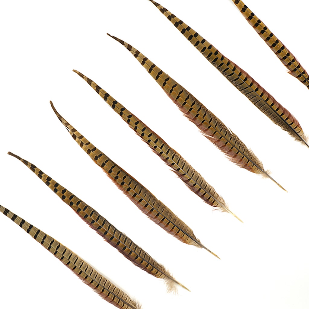 10 PC/PKG RINGNECK PHEASANT TAILS 16-18’’ - NATURAL - Feathers