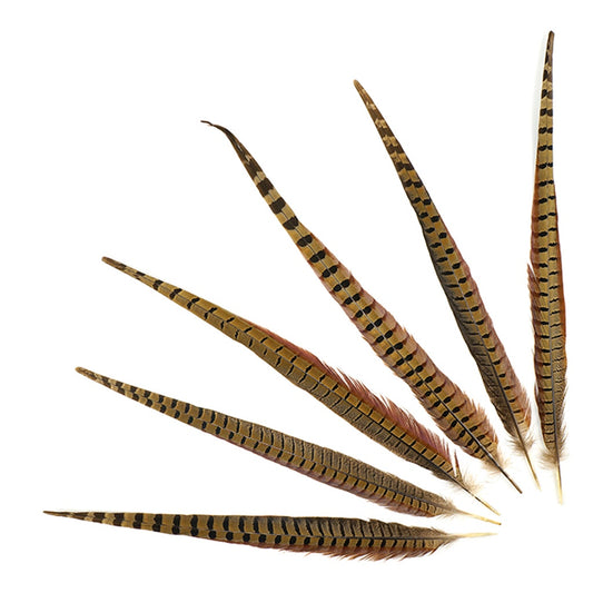 10 PC/PKG RINGNECK PHEASANT TAILS 18-20’’ - NATURAL - Feathers